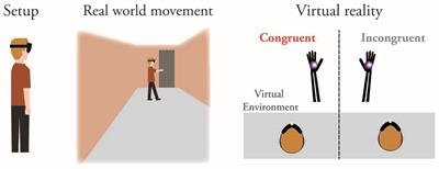 Body Ownership of Anatomically Implausible Hands in Virtual Reality